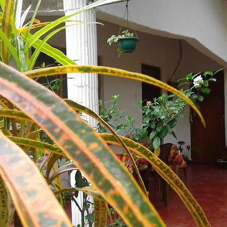 Winstar Homestay Sigiriya Ngoại thất bức ảnh