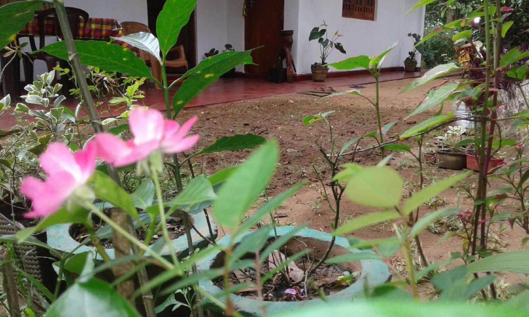 Winstar Homestay Sigiriya Ngoại thất bức ảnh