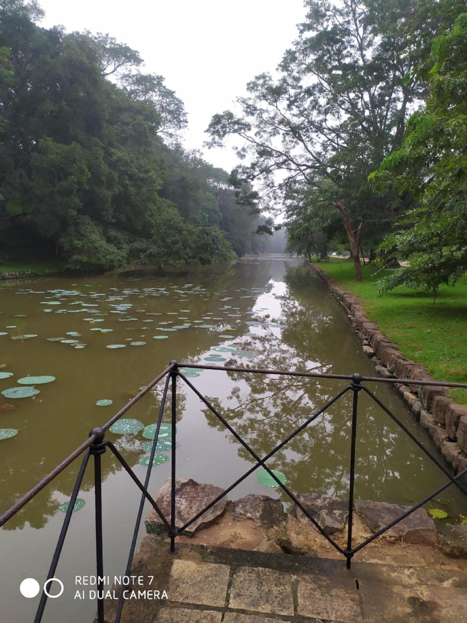 Winstar Homestay Sigiriya Ngoại thất bức ảnh