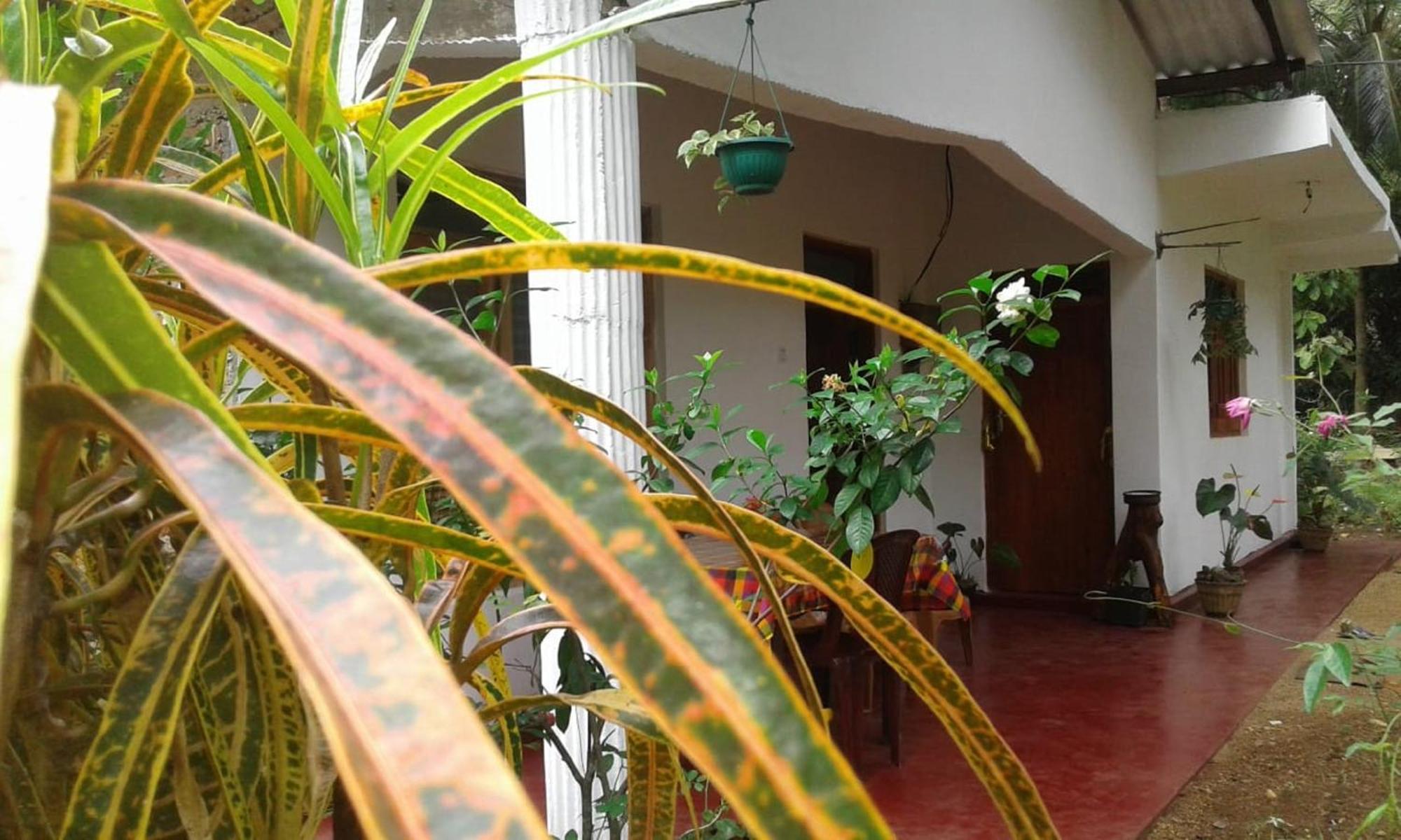 Winstar Homestay Sigiriya Ngoại thất bức ảnh